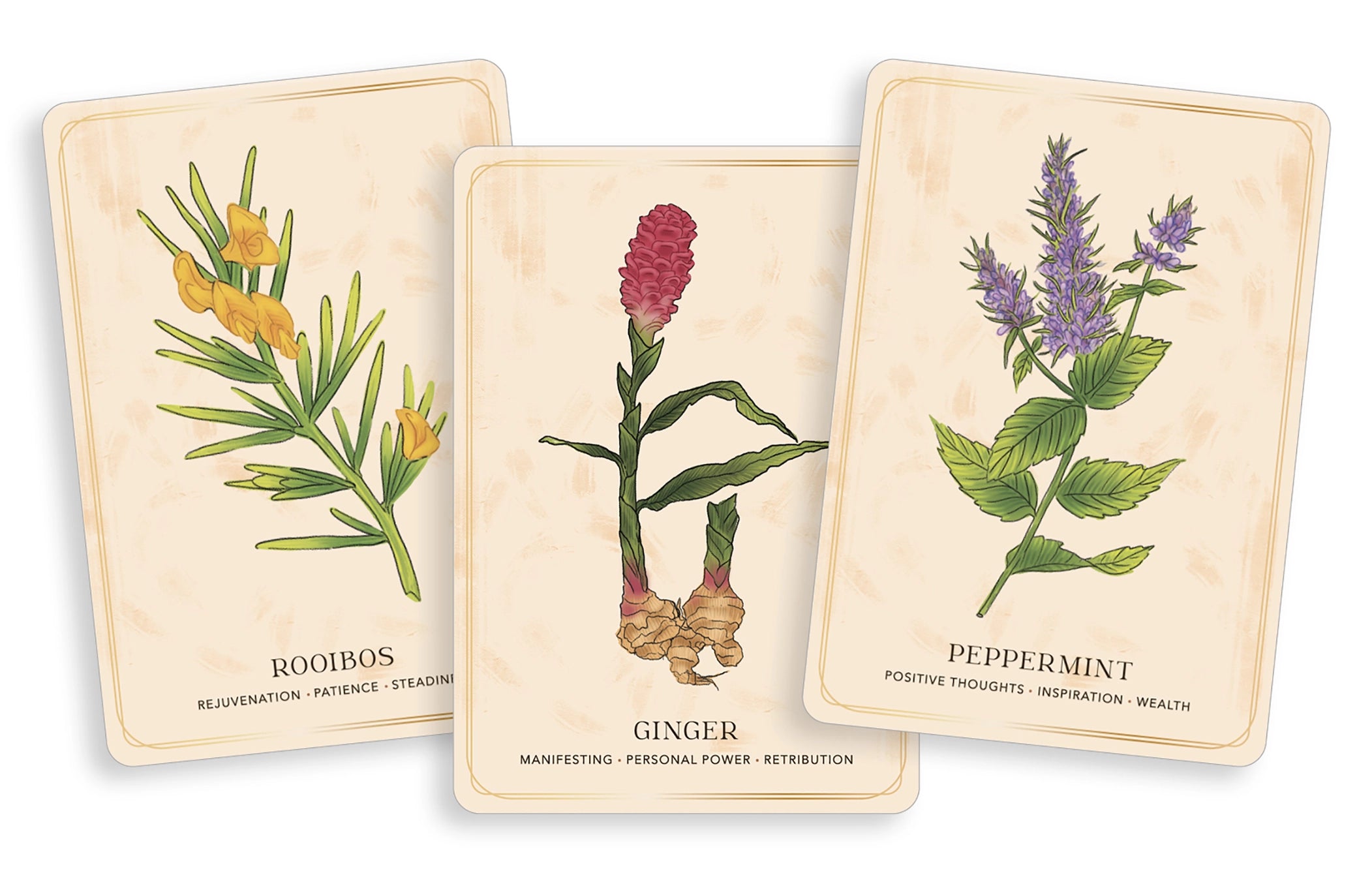 Herbal Tea Magic Deck