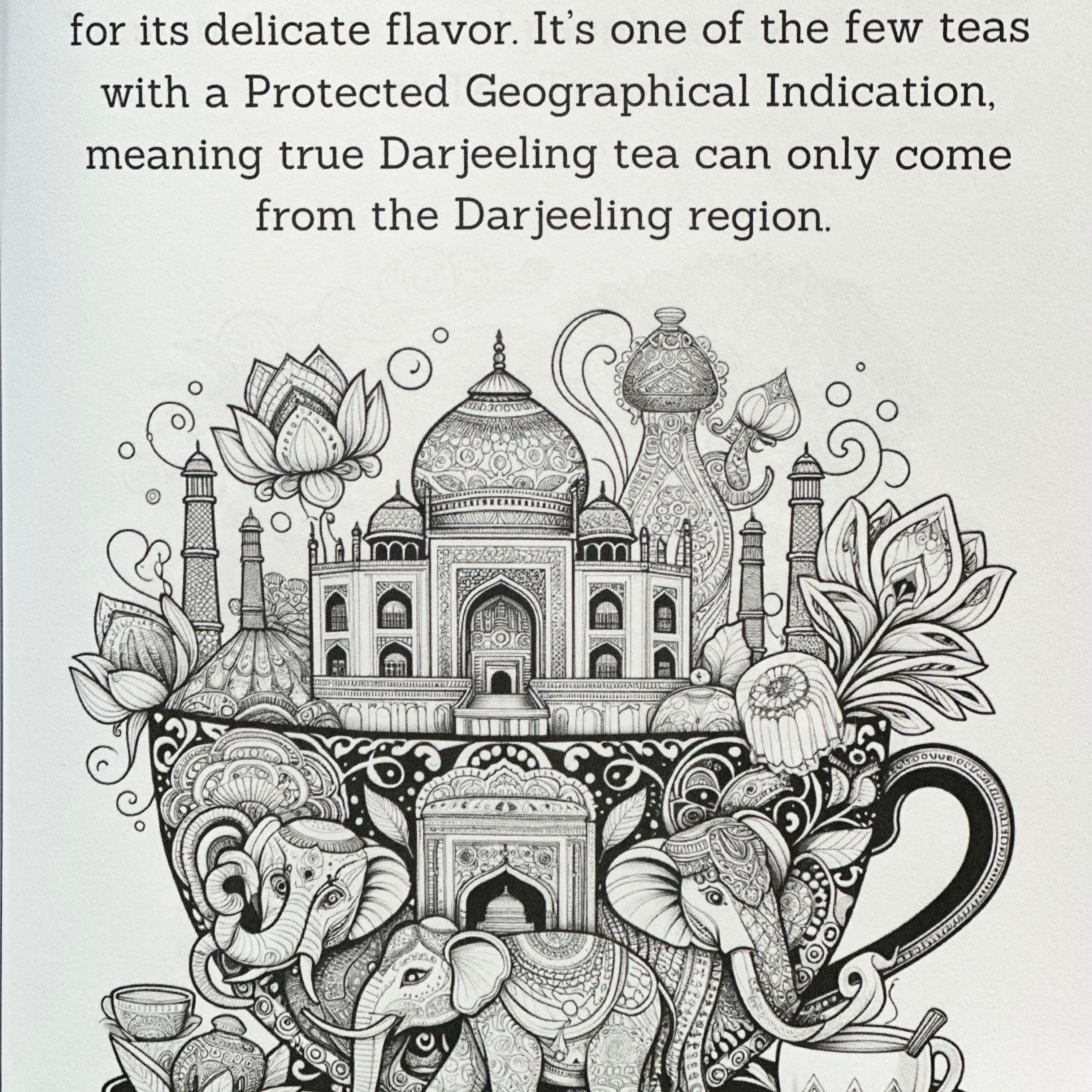 Steeped in Art Coloring Book